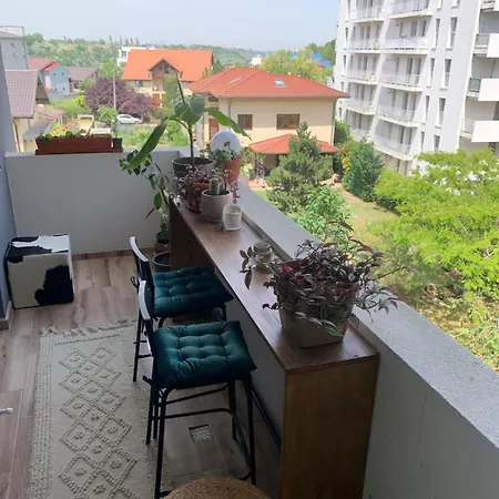 アパート Apartament Langa Hanul Cu Peste 2 *